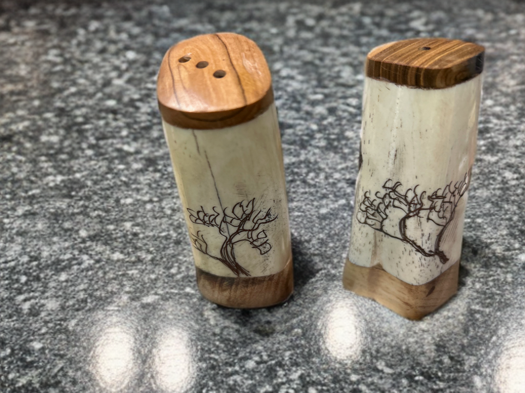 African Crafted Wood and Kudu Bone Salt Shaker