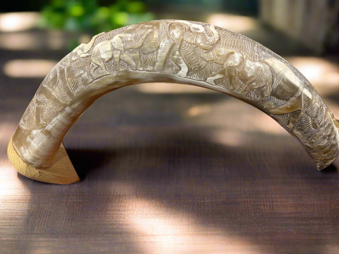 African Crafted Bull Horn engraved with Elephants