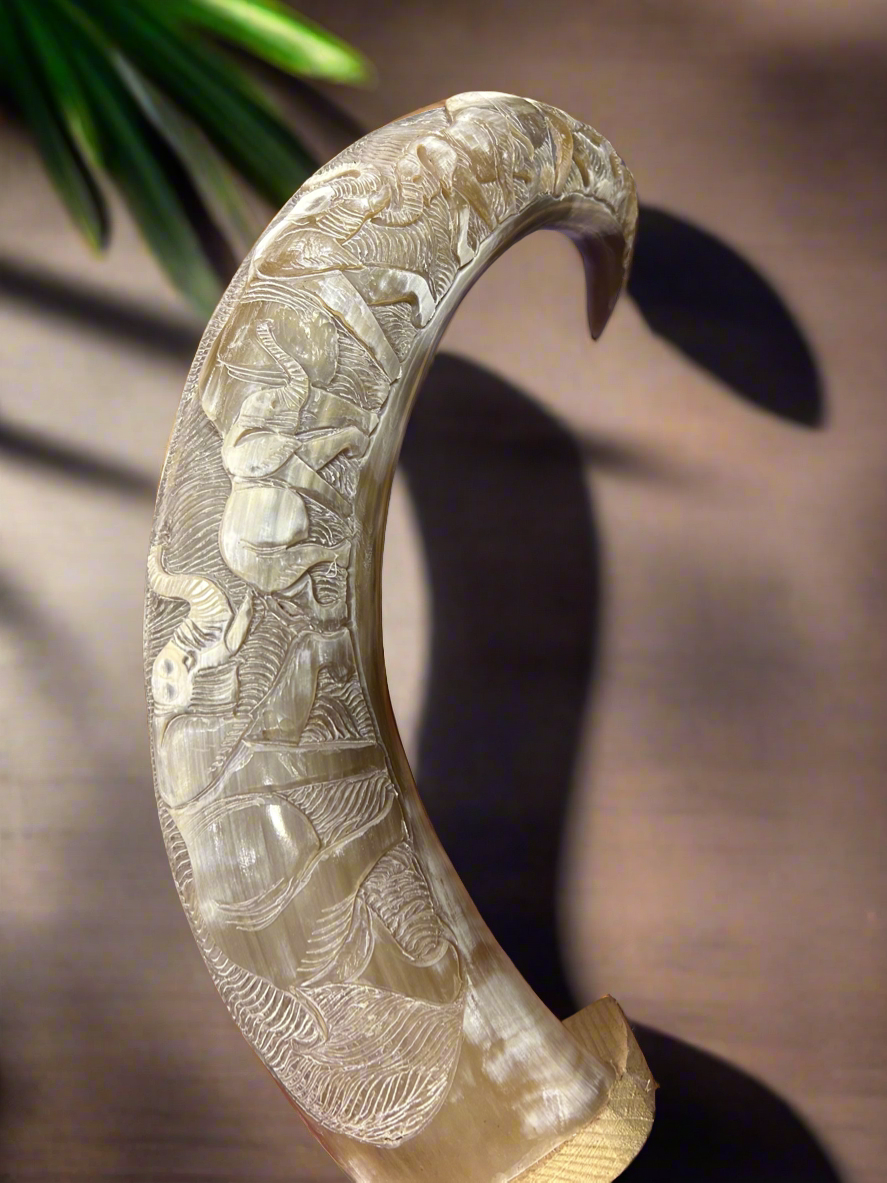 African Crafted Bull Horn engraved with Elephants