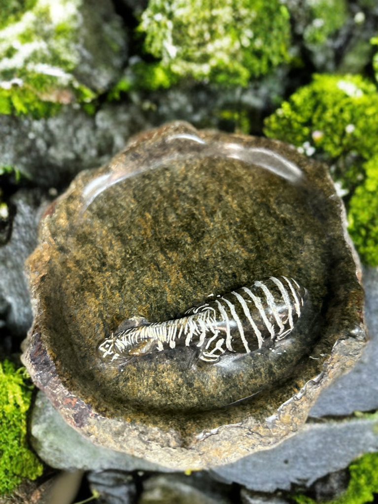 African Stone Crafted Zebra Ashtray