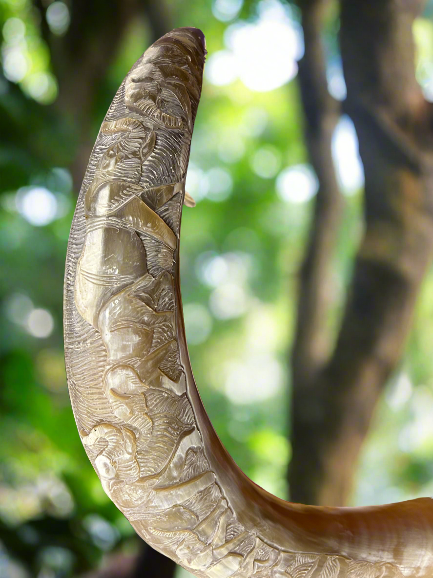 African Crafted Bull Horn engraved with Elephants