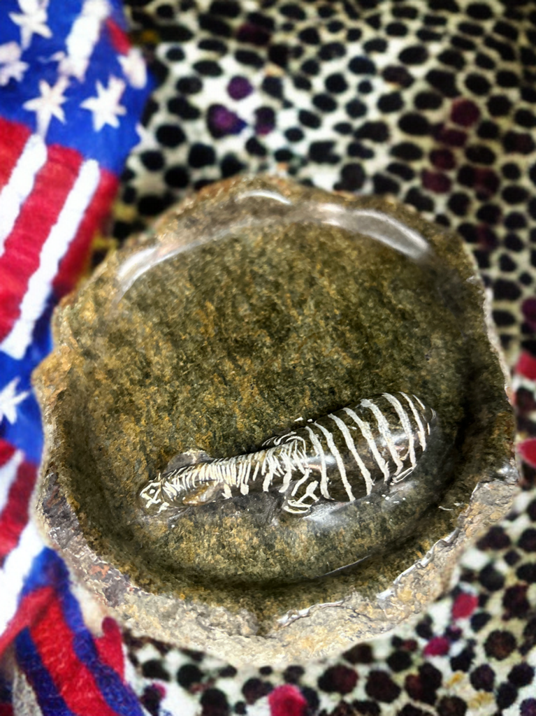 African Stone Crafted Zebra Ashtray