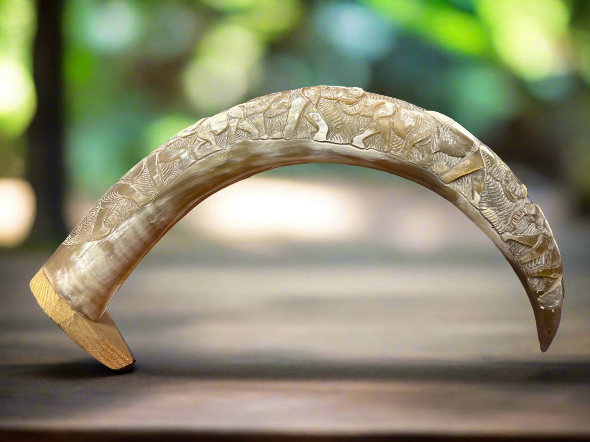 African Crafted Bull Horn engraved with Elephants