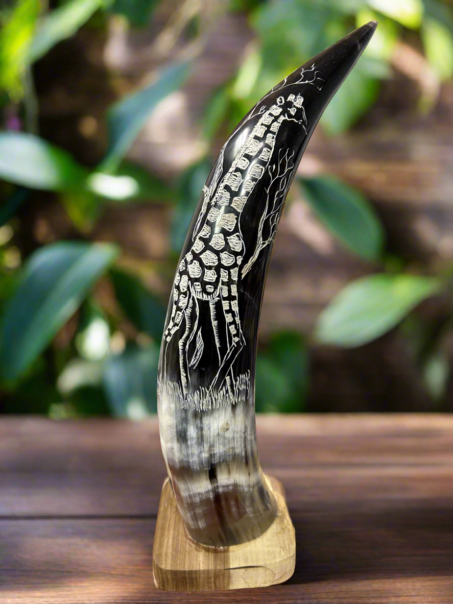 African Crafted Bull Horn with Giraffe Engraved Artwork